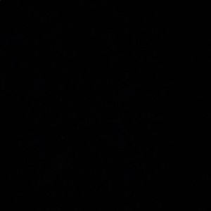 Meet your Posher, Bryce